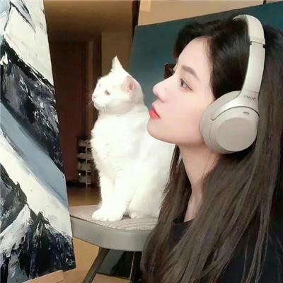 格杀密令