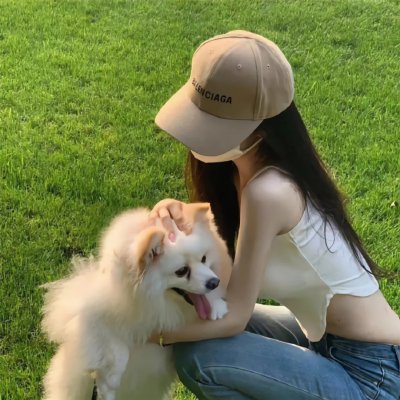 暴龙真相